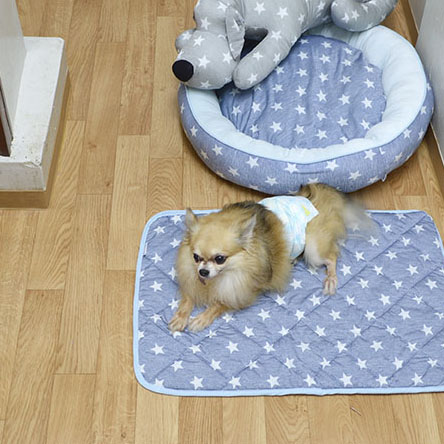 ドッグホテル（VIP）